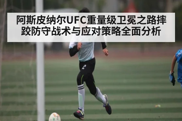 阿斯皮纳尔UFC重量级卫冕之路摔跤防守战术与应对策略全面分析